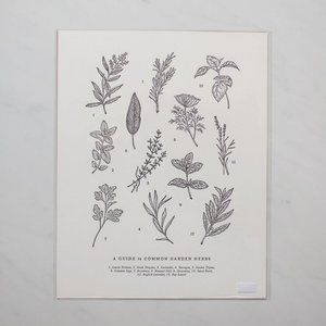Guide to Garden Herbs Chart, The Wild Wander